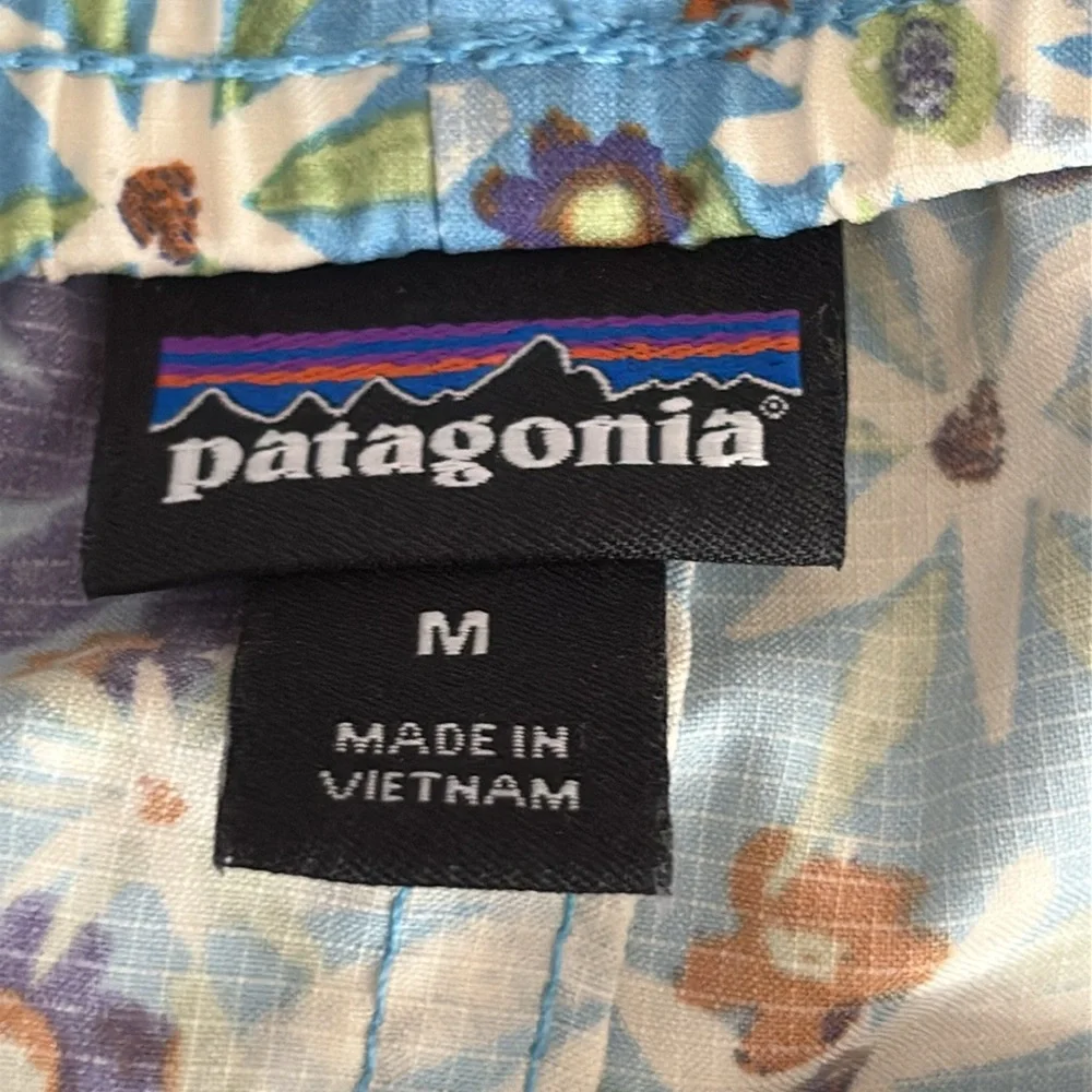 Patagonia Stretch Planing 2" Micro Short Primavera Lago Blue - NWOT - Medium - Picture 5 of 7